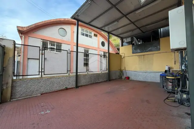 insertion image