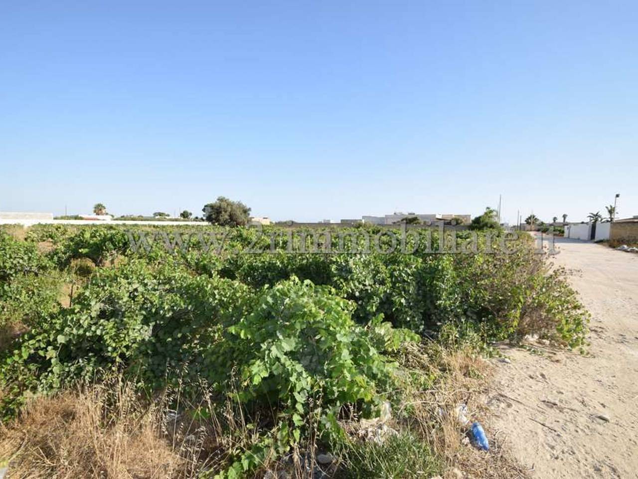 immagine annuncio 5 di 8