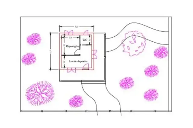 insertion image