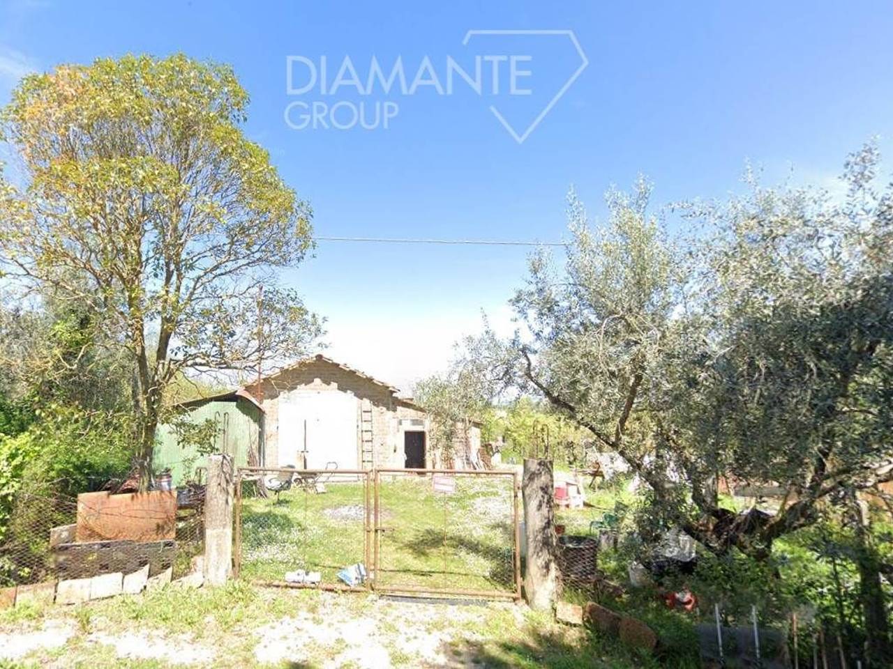 immagine annuncio 6 di 7