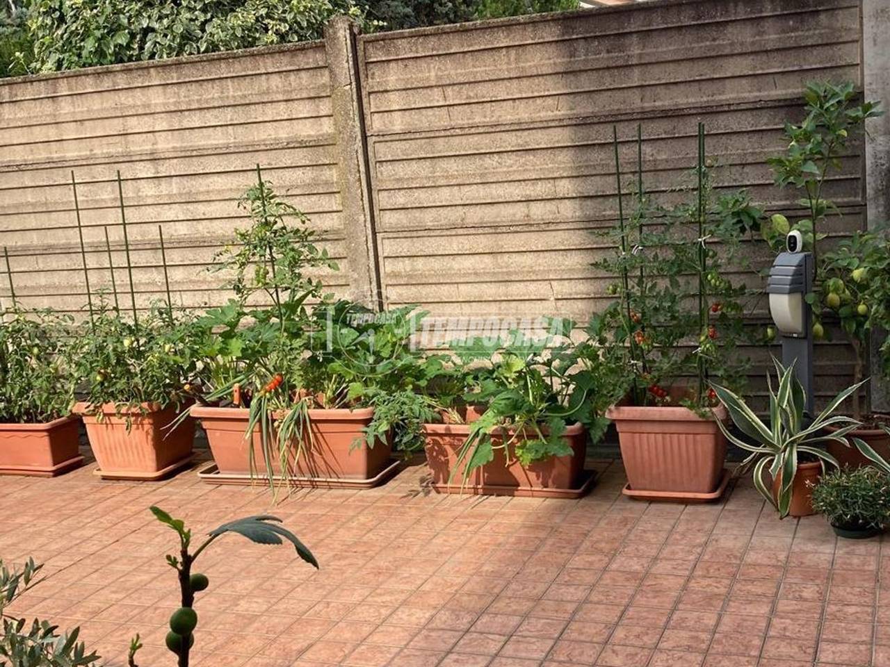 immagine annuncio 4 di 14