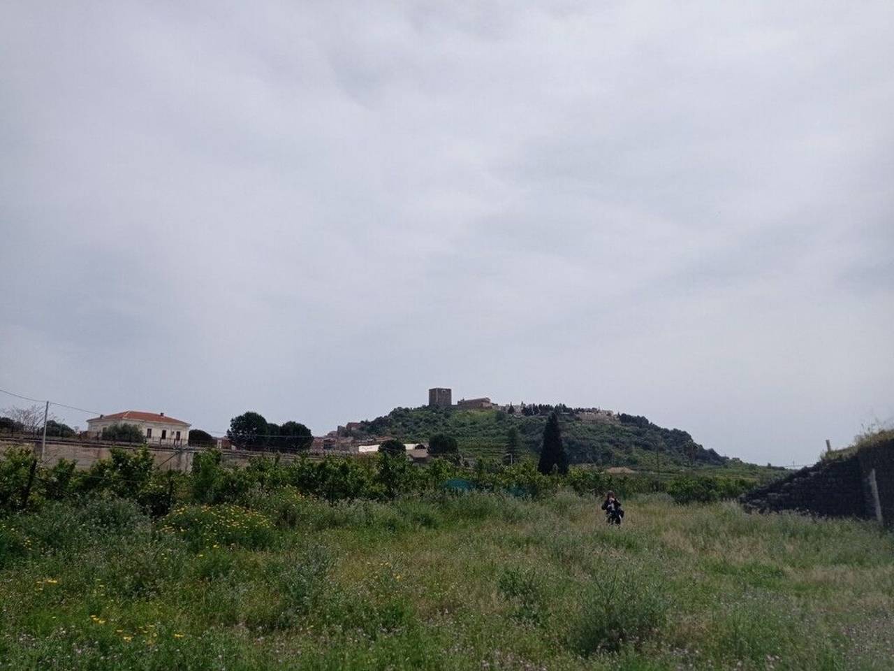 immagine annuncio 5 di 8