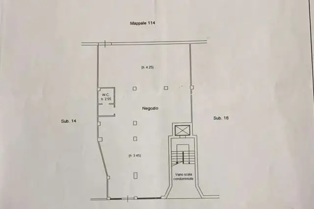 insertion image