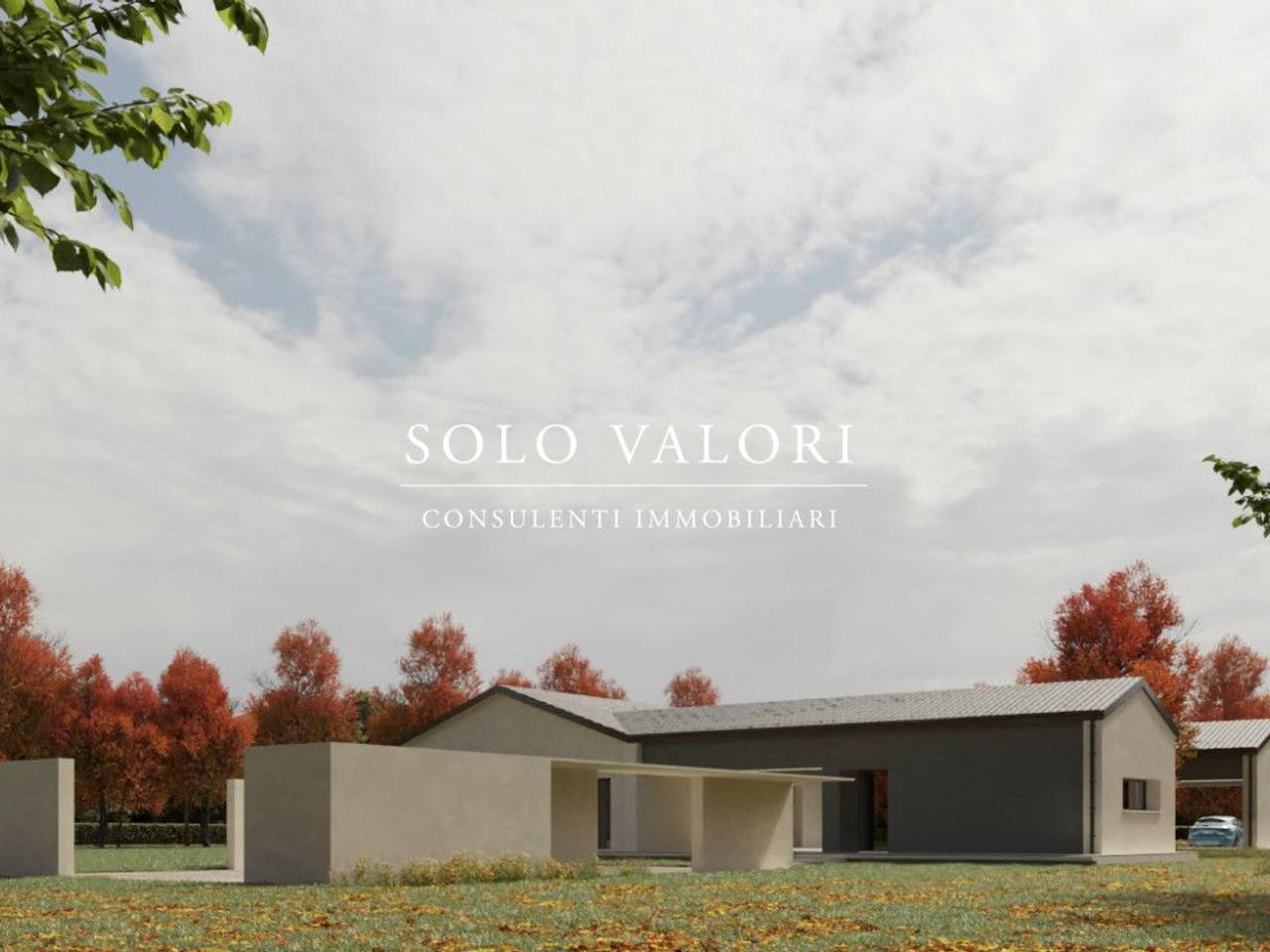 immagine annuncio 2 di 6