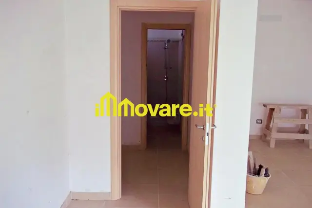 insertion image