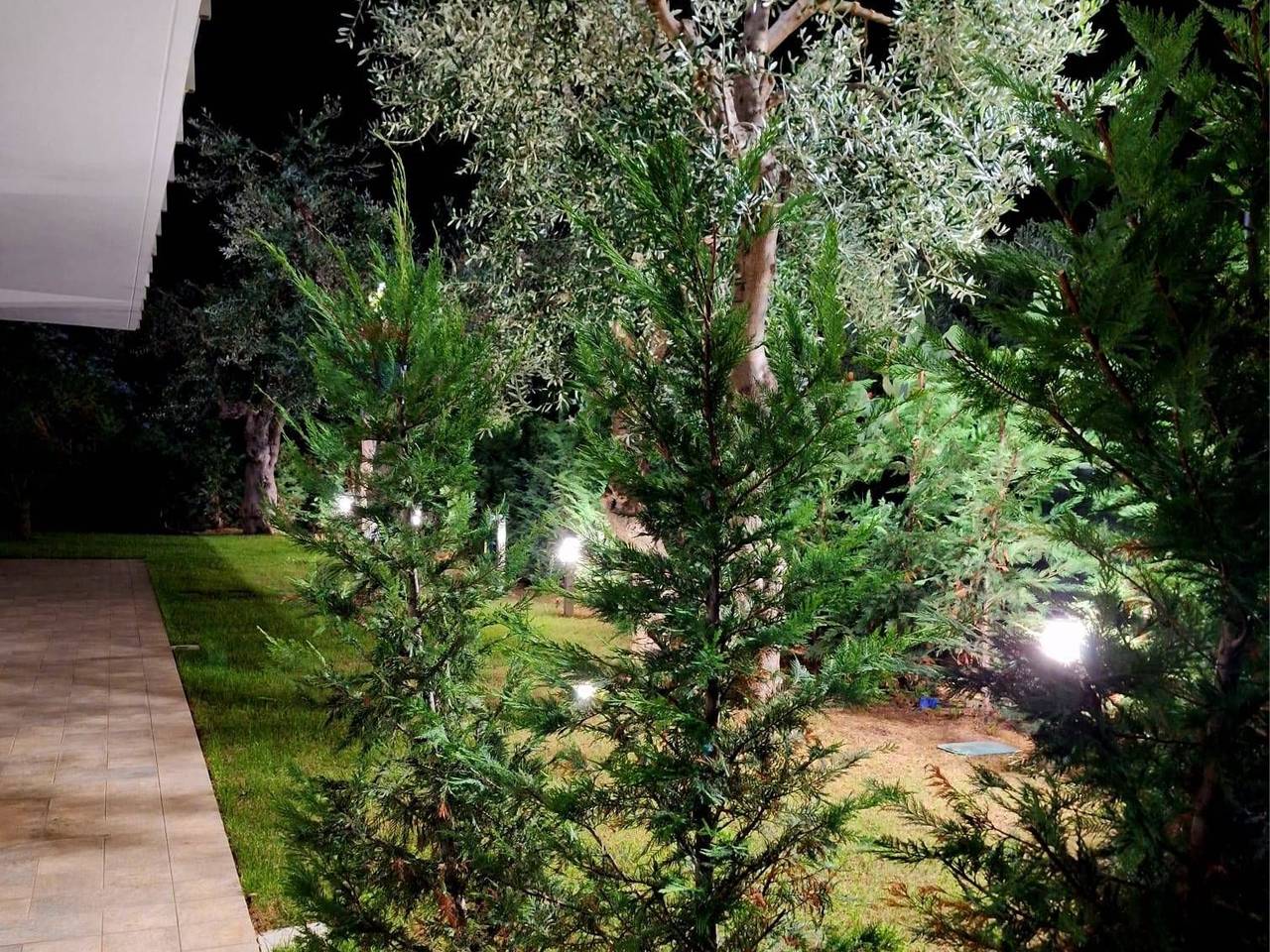 immagine annuncio 13 di 14