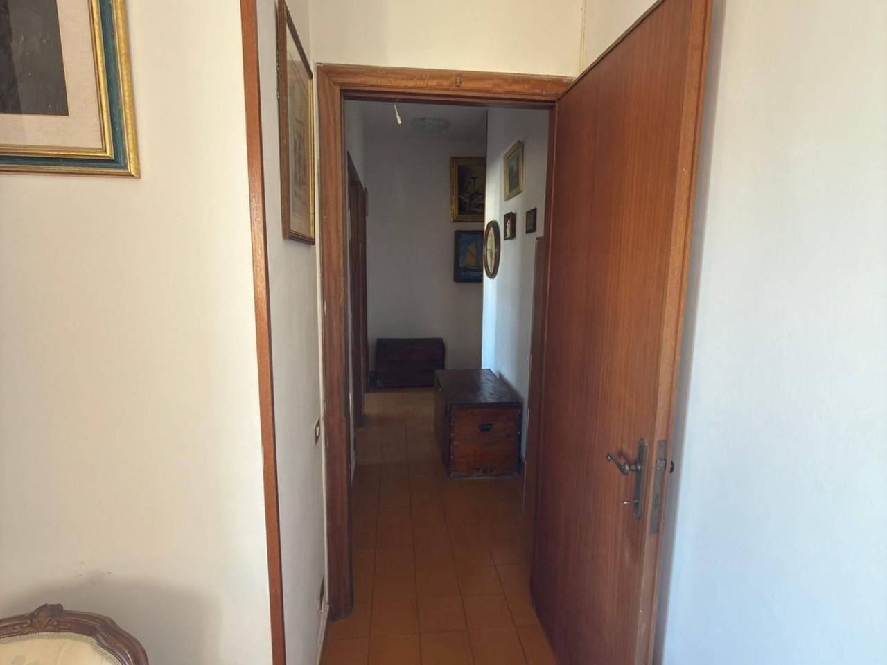 immagine annuncio 5 di 7