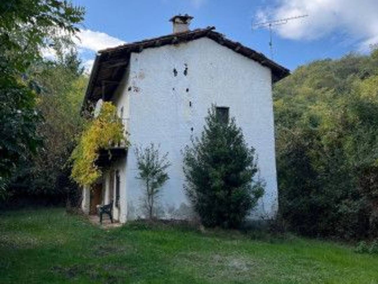 immagine annuncio 12 di 14