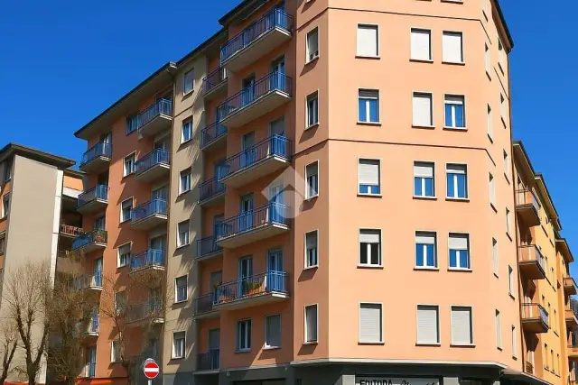 insertion image