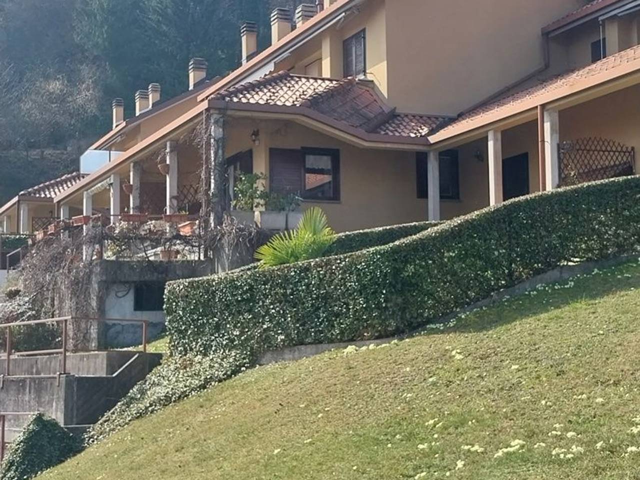 immagine annuncio 6 di 11