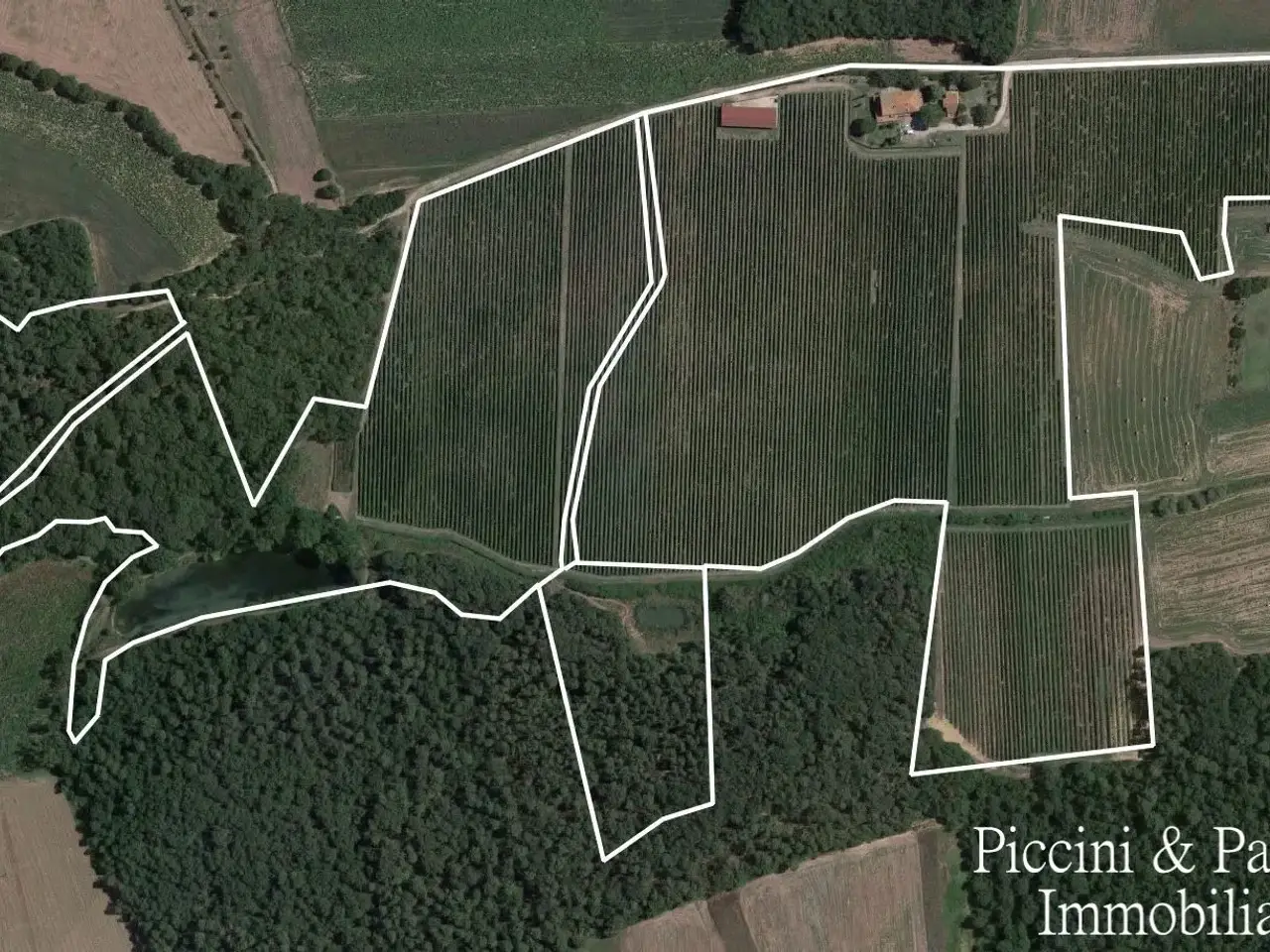 Azienda agricola in Via Soccorso, Castiglione Del Lago, {3} - Foto 2