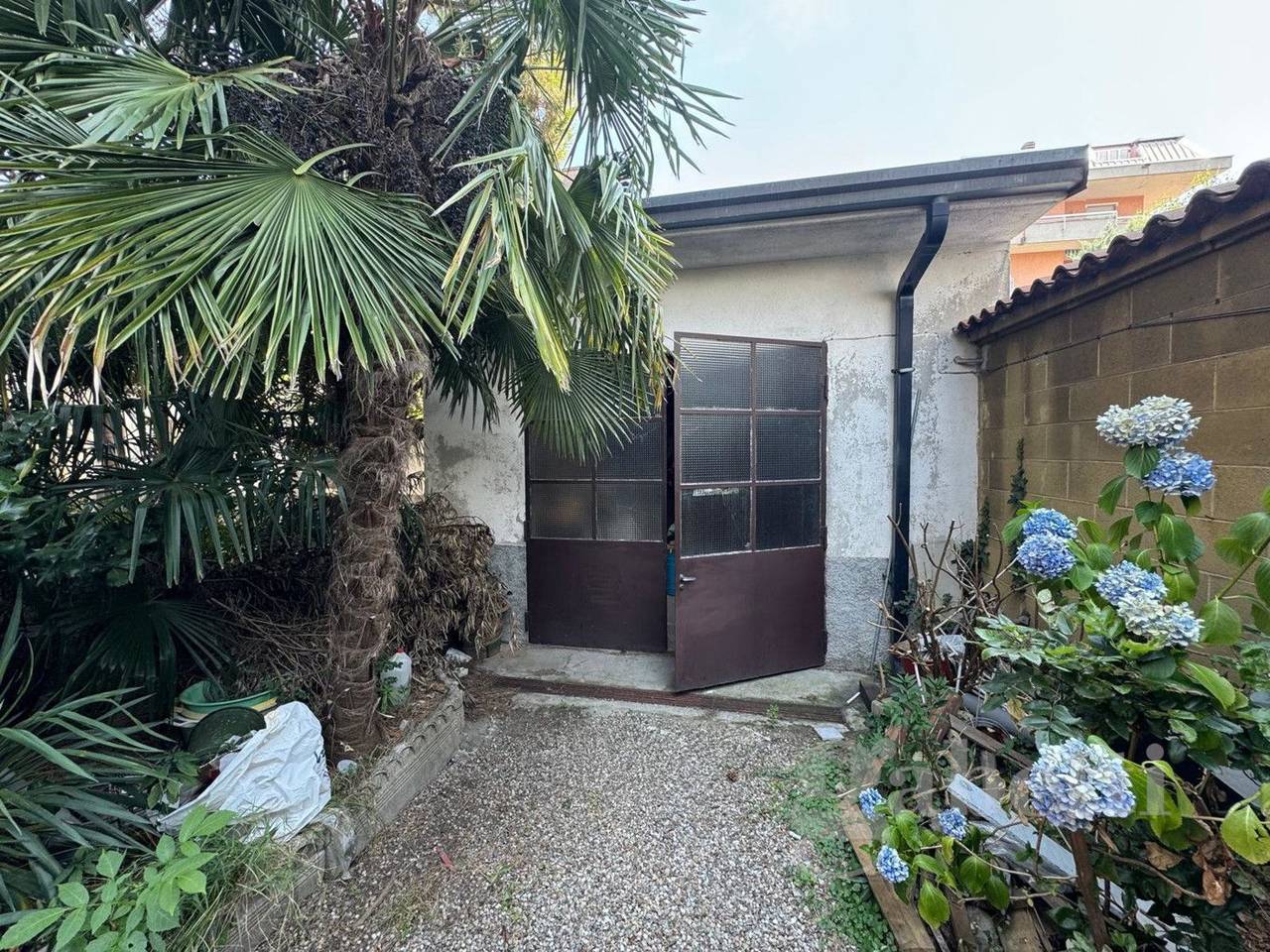 immagine annuncio 3 di 11