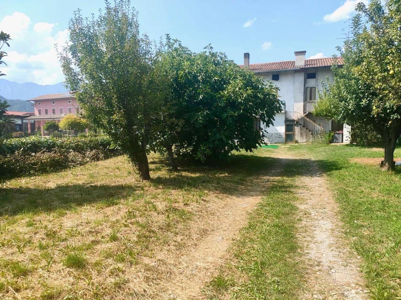 immagine annuncio 11 di 14