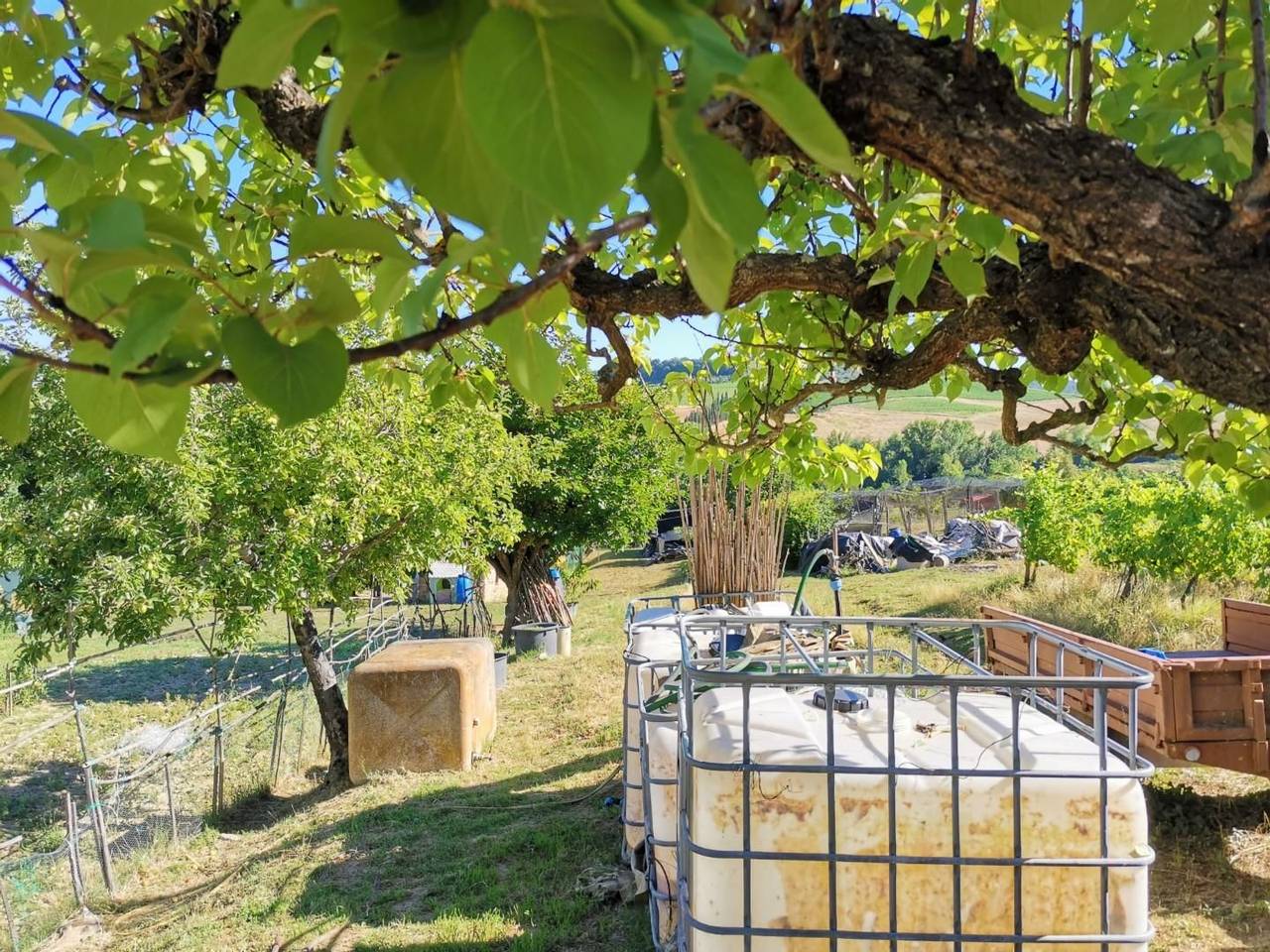 immagine annuncio 2 di 14