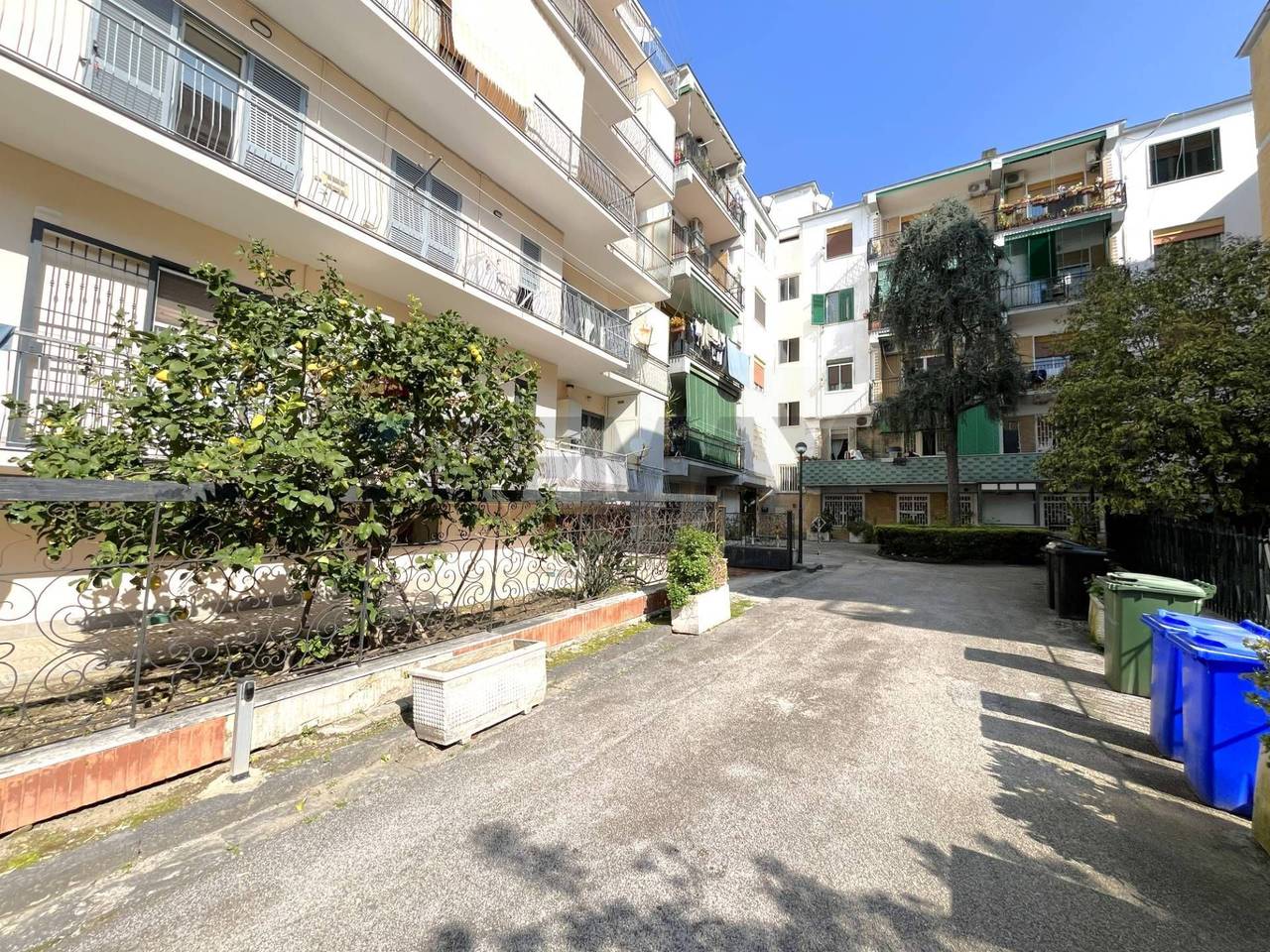 immagine annuncio 11 di 15