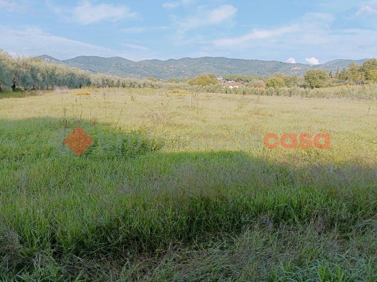 immagine annuncio 2 di 13