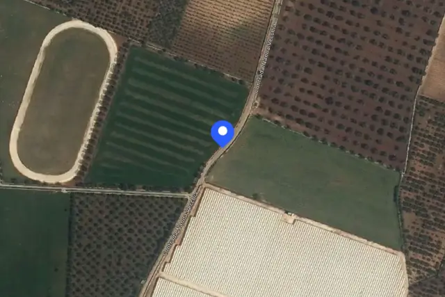 insertion image