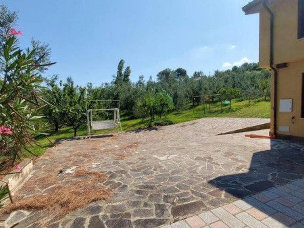 immagine annuncio 4 di 15