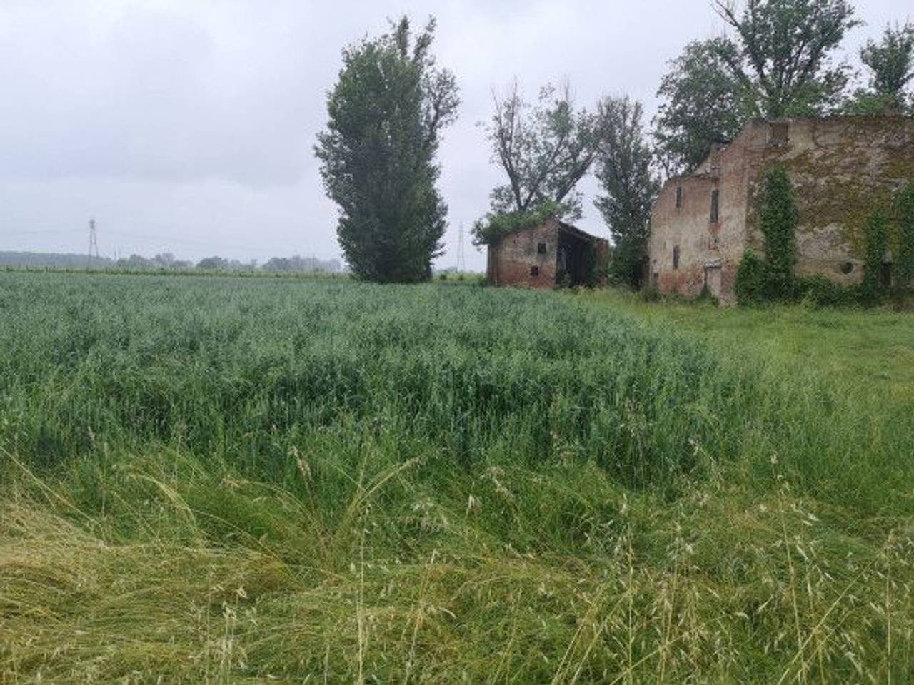 immagine annuncio 13 di 14