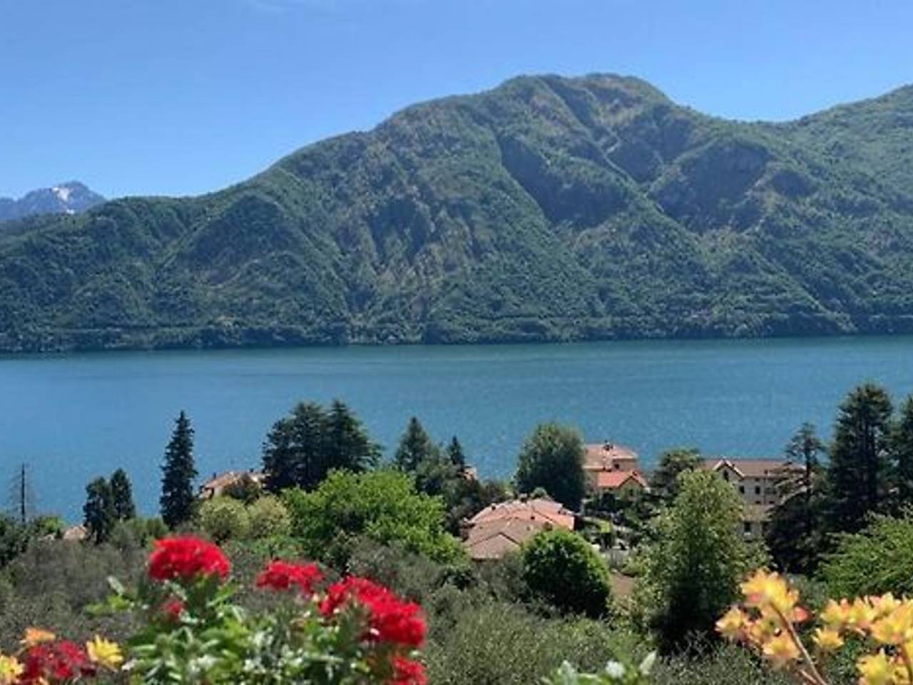 immagine annuncio 5 di 6