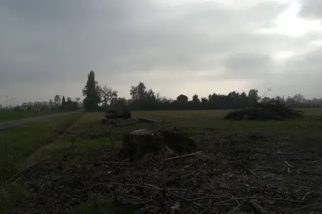 Terreno agricolo in Via Madonna dei Prati, Zola Predosa - Foto 1