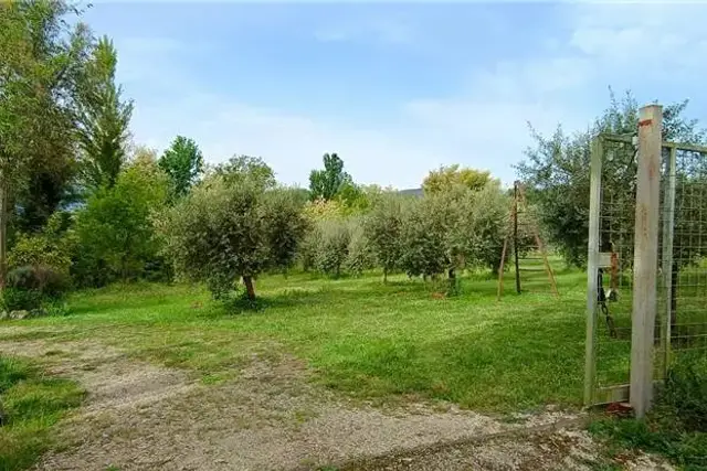 insertion image