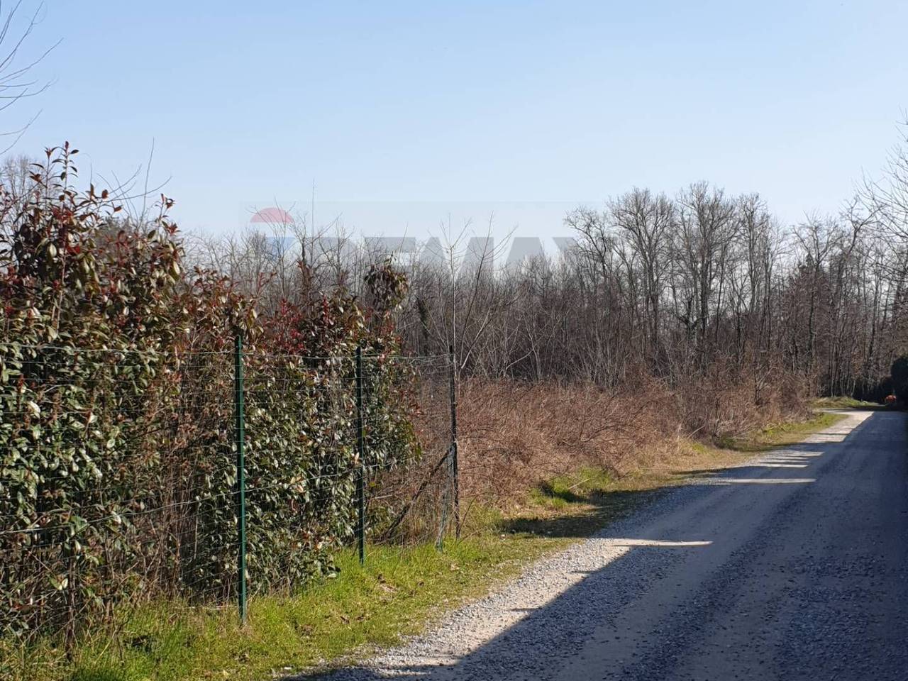 immagine annuncio 3 di 11