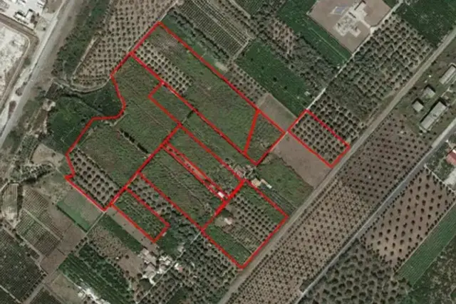 insertion image