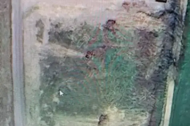 insertion image