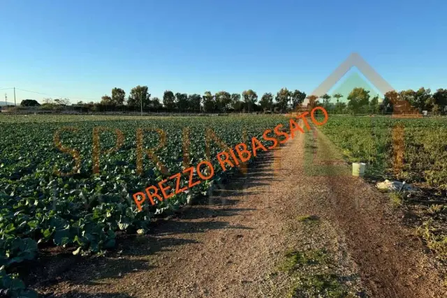 insertion image