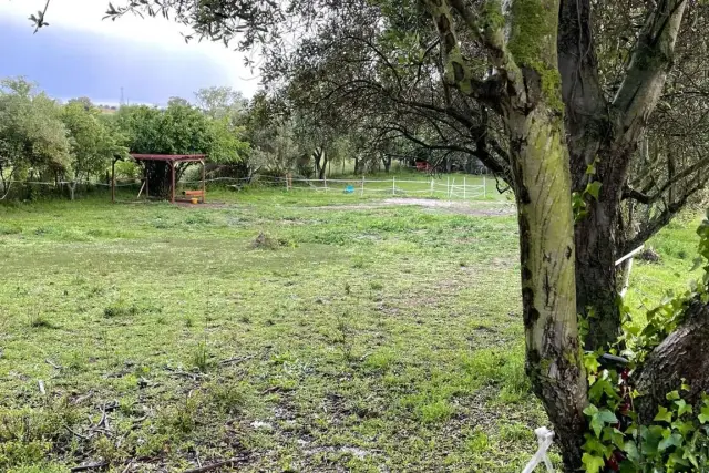 Agrargrundstück in Via Pratica di Mare, Pomezia - Foto 1