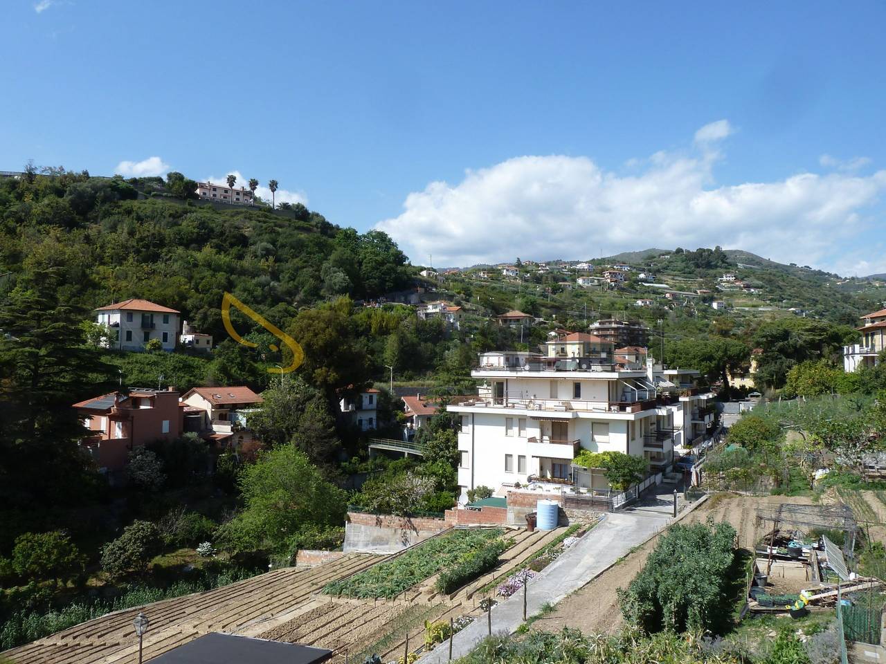 immagine annuncio 11 di 14