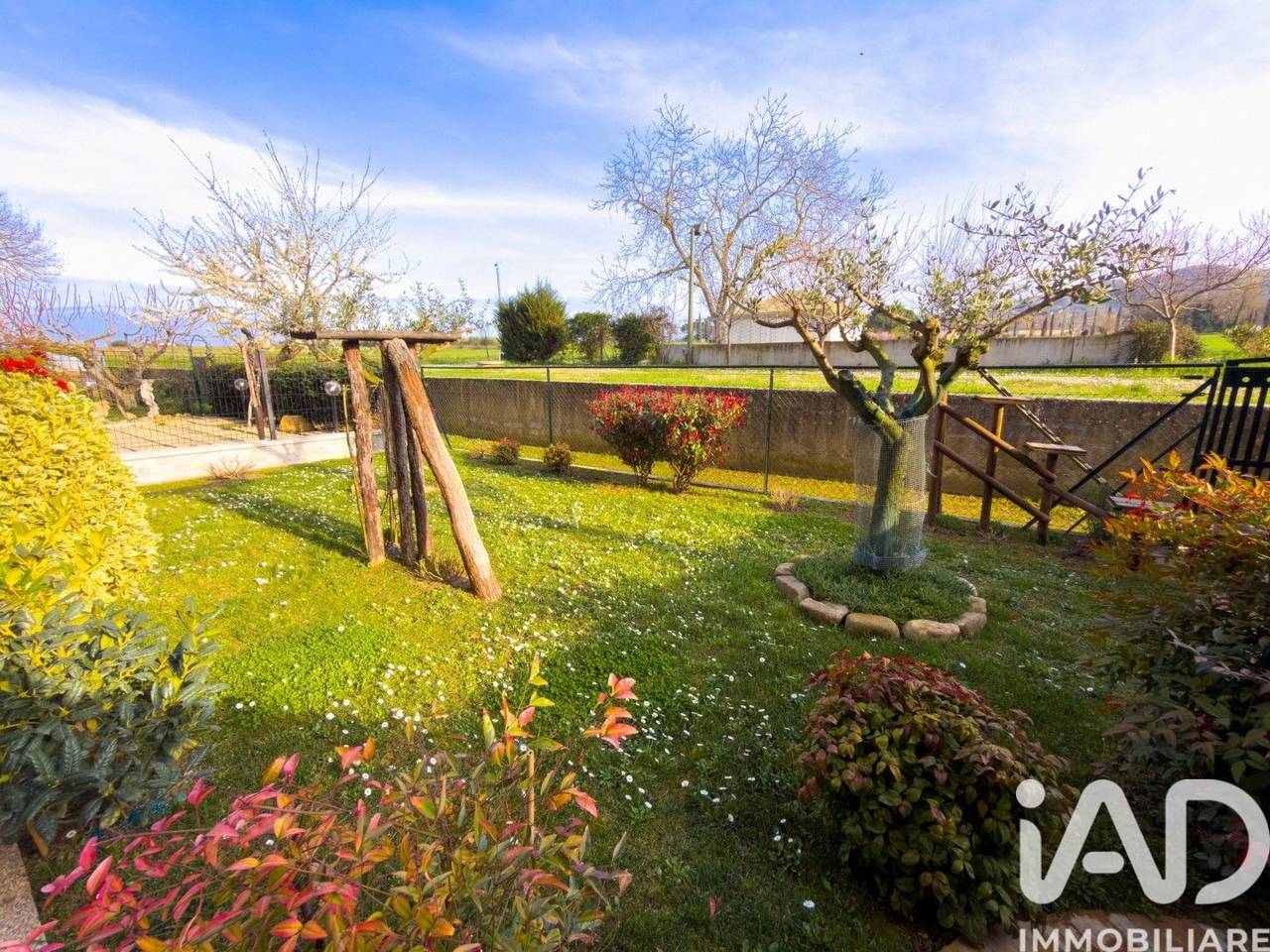 immagine annuncio 9 di 15