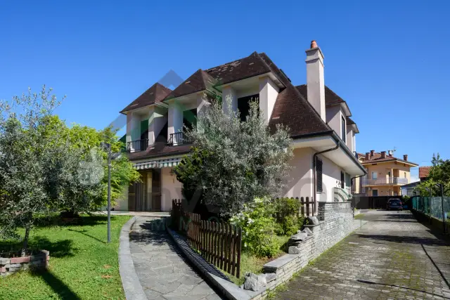 insertion image