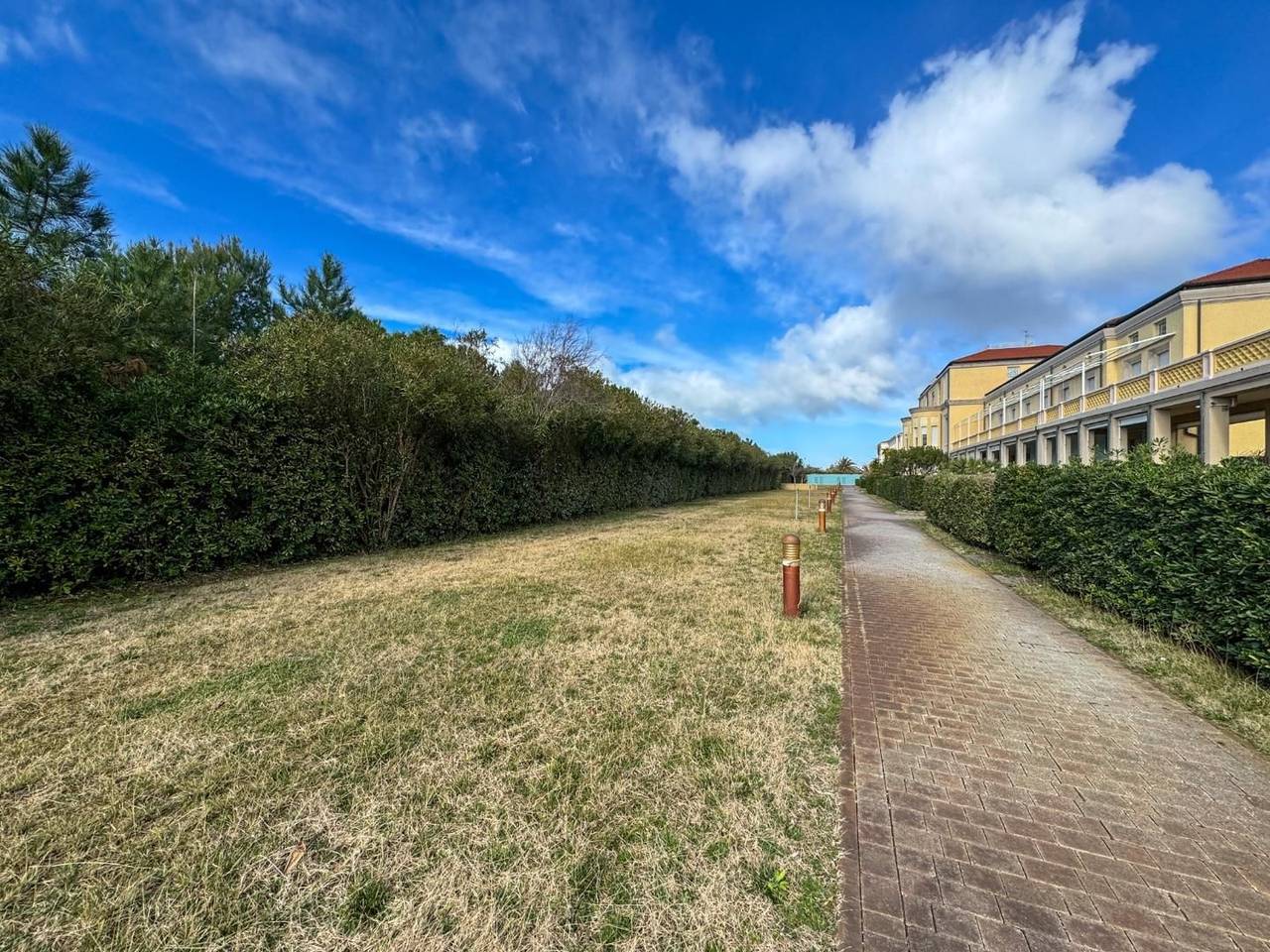 immagine annuncio 3 di 14