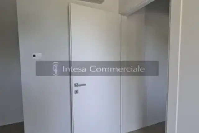 insertion image