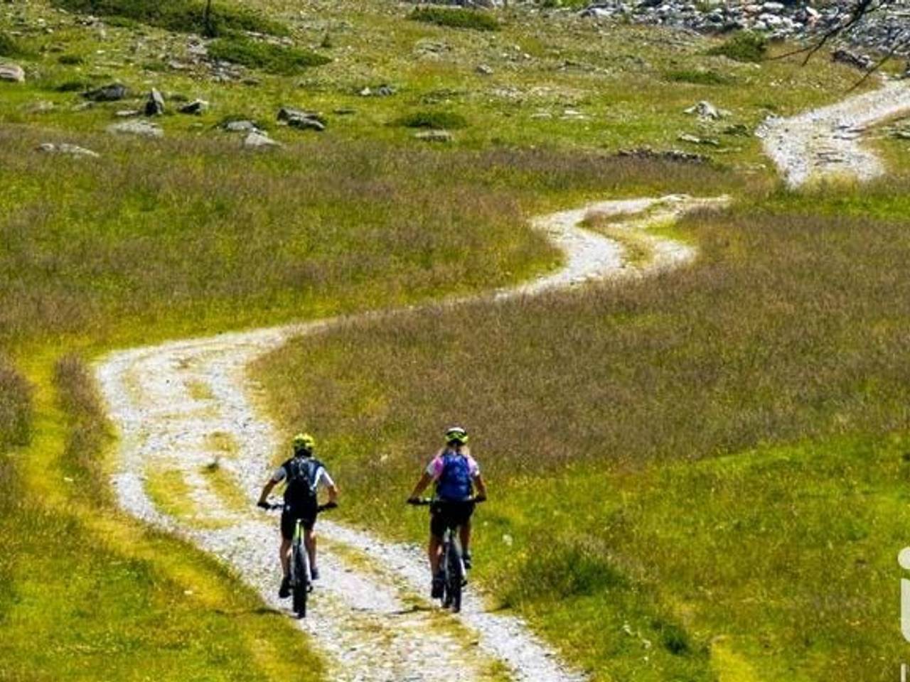 immagine annuncio 10 di 14