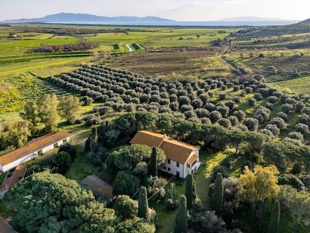 immagine annuncio 6 di 13