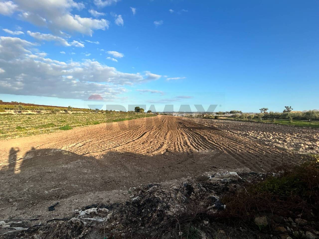 immagine annuncio 7 di 11