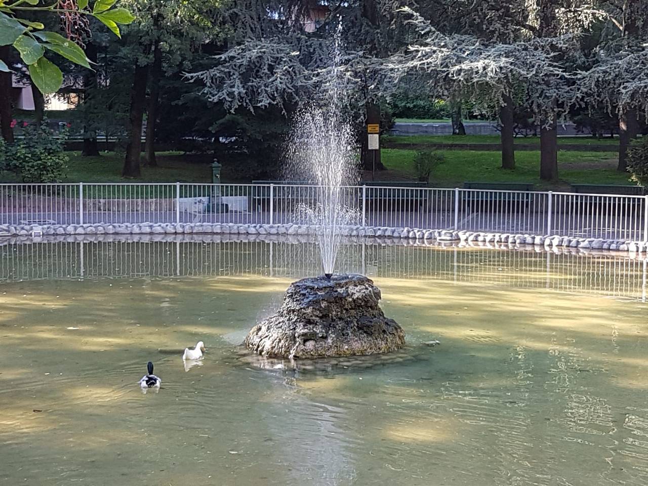 immagine annuncio 11 di 15