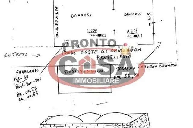 insertion image