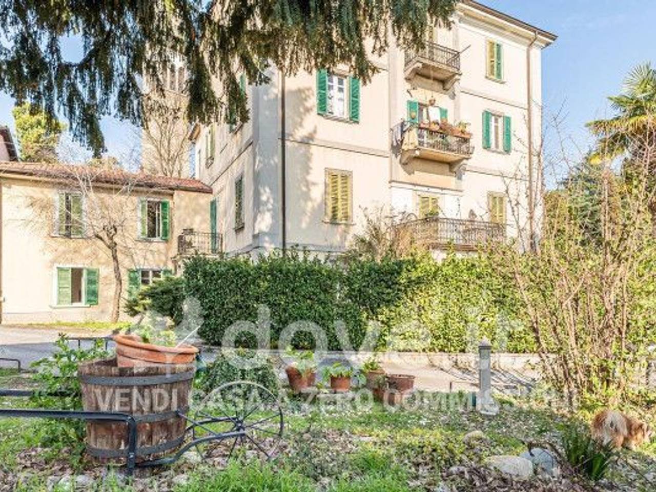 immagine annuncio 4 di 15