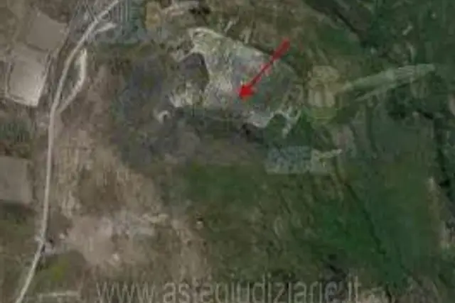 insertion image