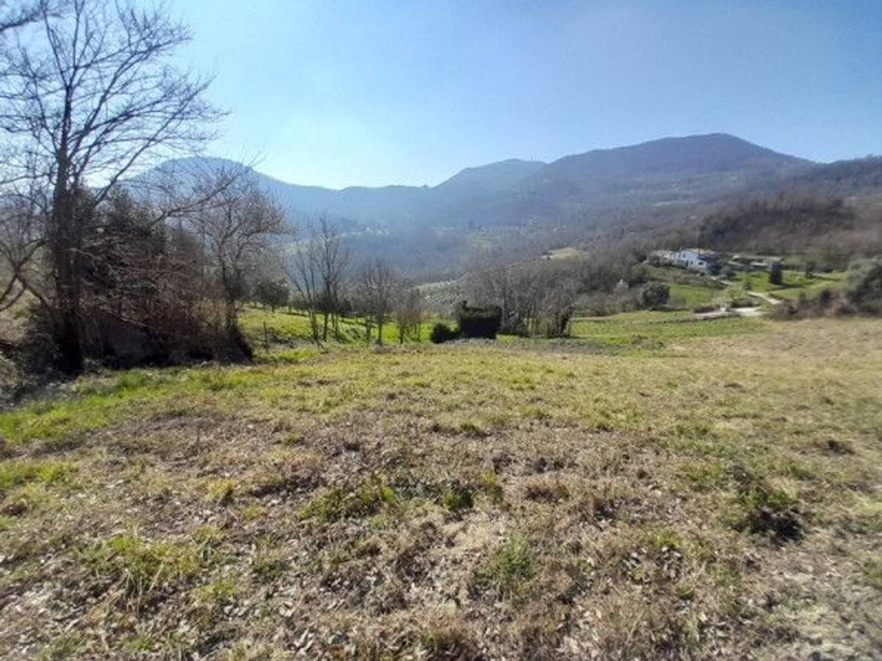 immagine annuncio 2 di 13