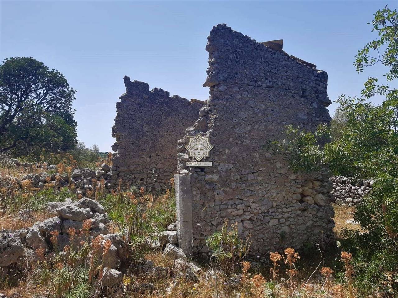 immagine annuncio 4 di 6