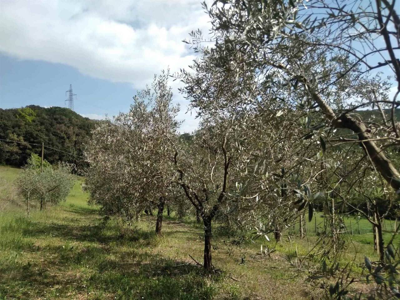 immagine annuncio 11 di 12