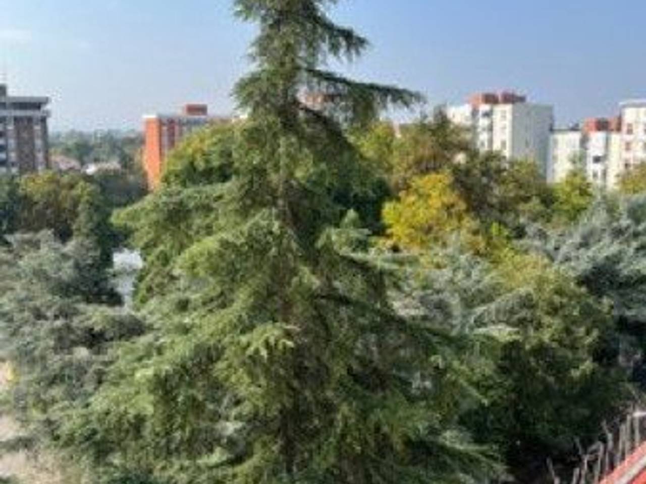 immagine annuncio 8 di 9