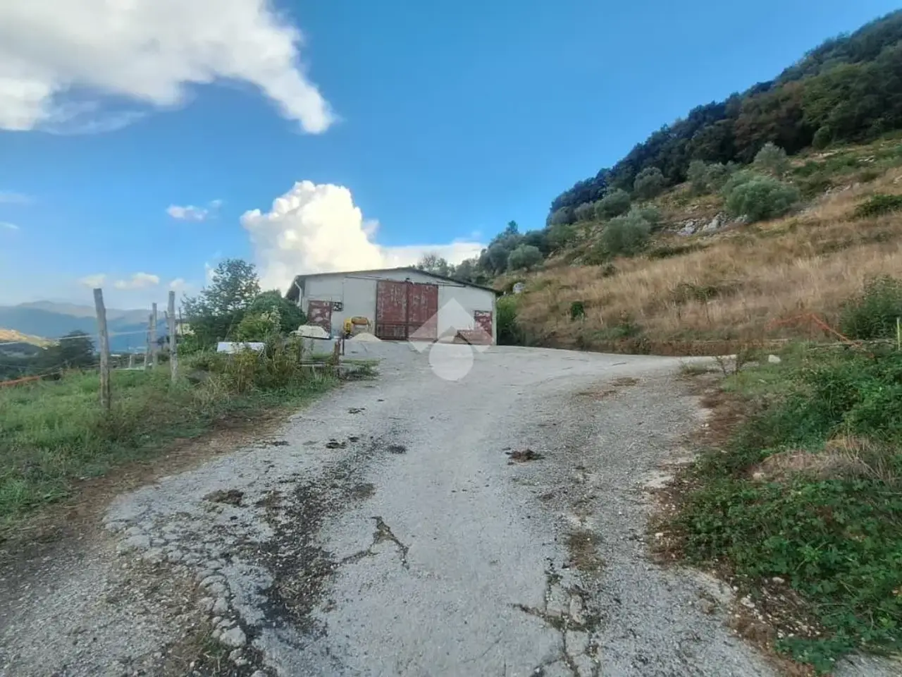 Capannone in Via Carpinetana Ovest 8, Segni, {3} - Foto 2