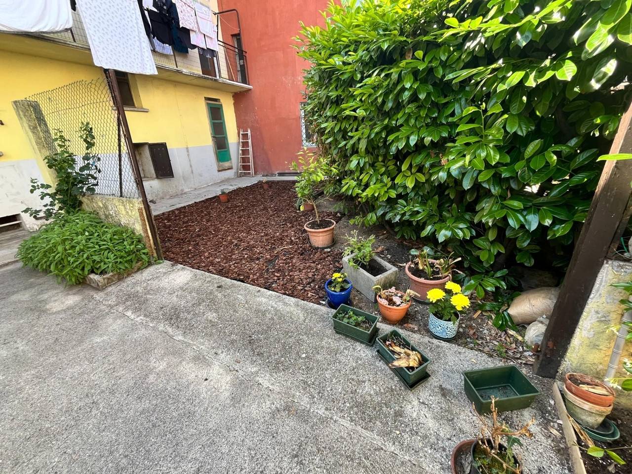 immagine annuncio 2 di 13