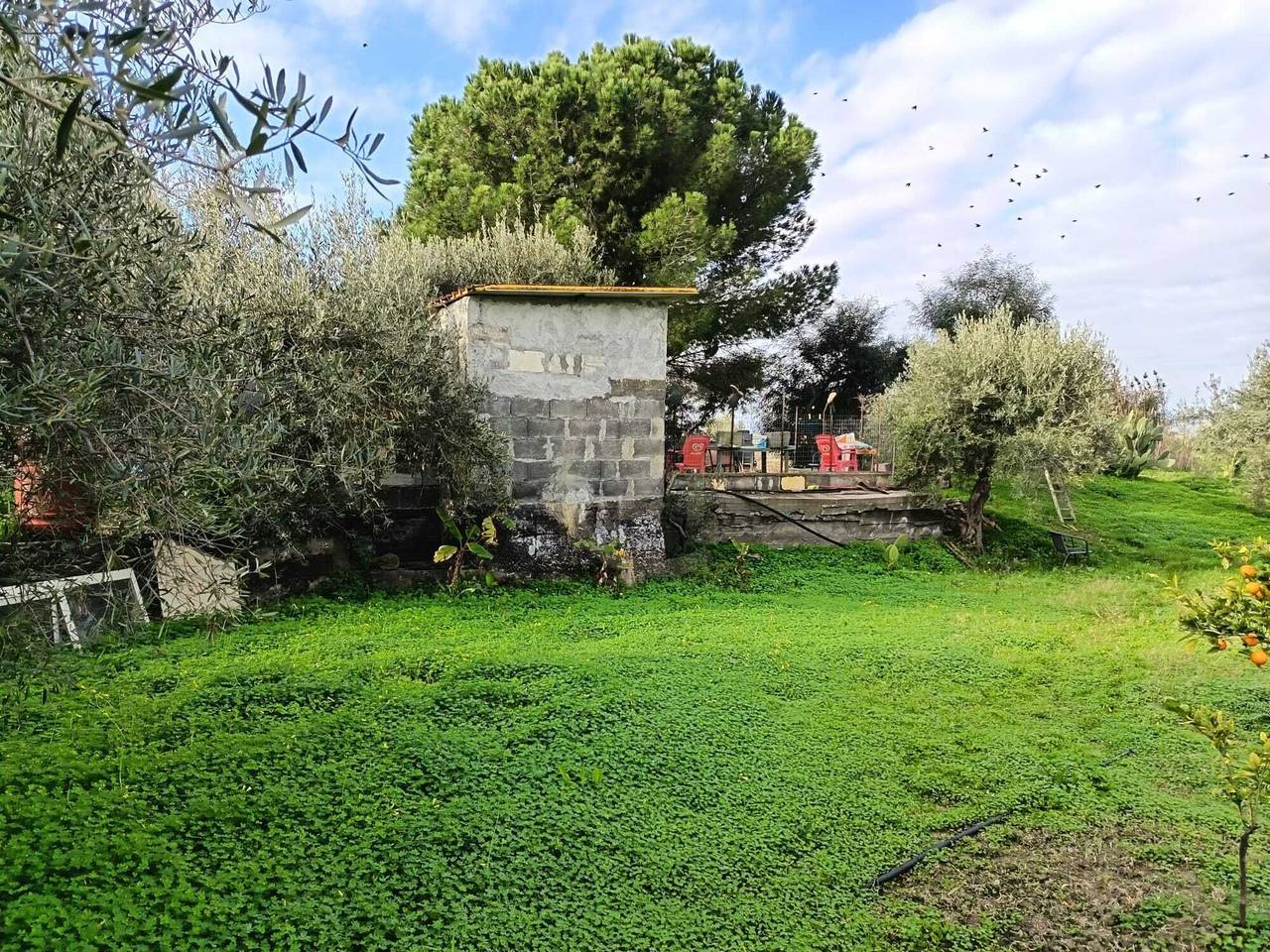 immagine annuncio 4 di 11